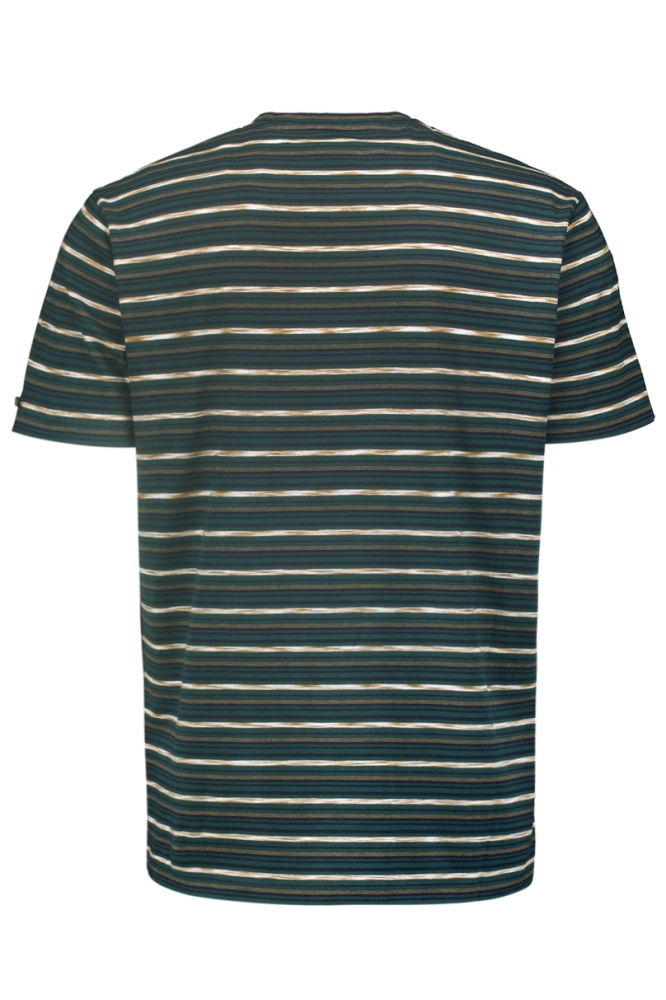 T SHIRT WITH ROUND NECK AND MULTICOLOR STRIPES 25350731 052 DARK GREEN