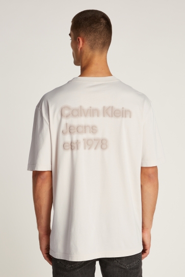 Calvin Klein T-shirt WASHED PUFF PRINT TEE J30J327078 MOONBEAM