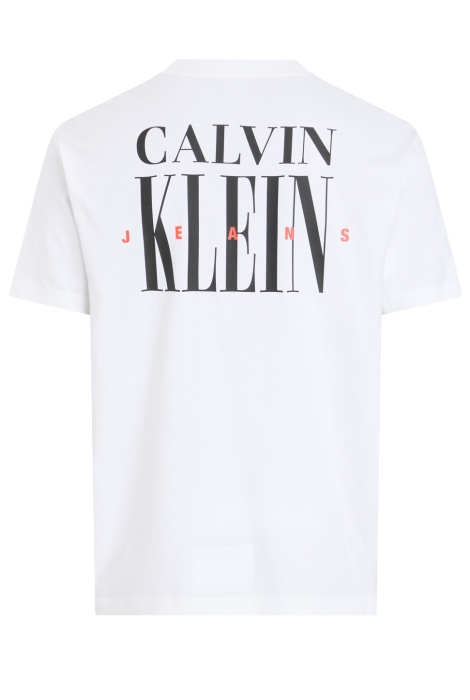 Calvin Klein serif font graphic