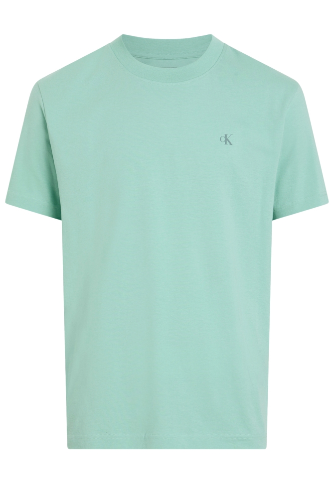 PAINTED CALVIN KLEIN J30J327523 FRESH MINT