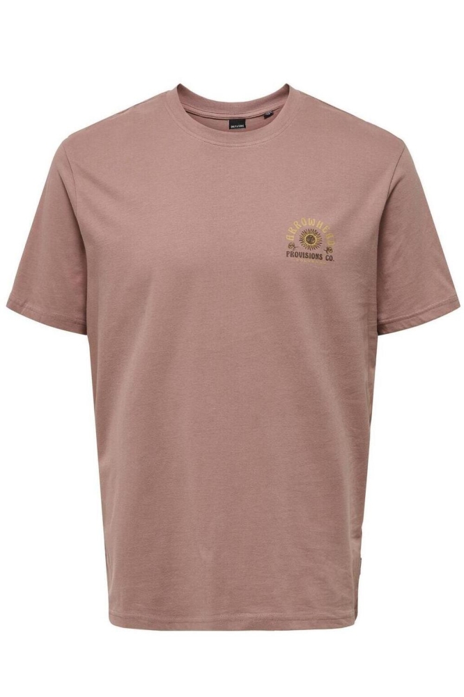 ONSMANUEL LIFE REG SS DESERT TEE 22029483 BURLWOOD