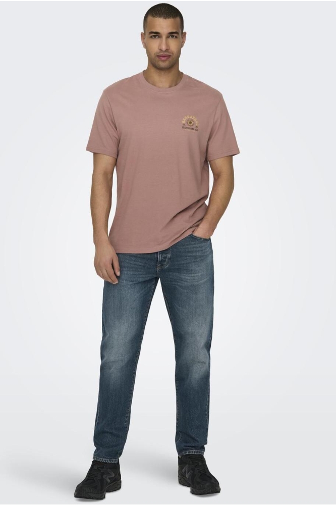 ONSMANUEL LIFE REG SS DESERT TEE 22029483 BURLWOOD