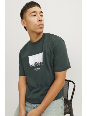 Jack & Jones T-shirt JORVESTERBRO PICTURE TEE SS CREW NE 12250421 FOREST RIVER/AW24