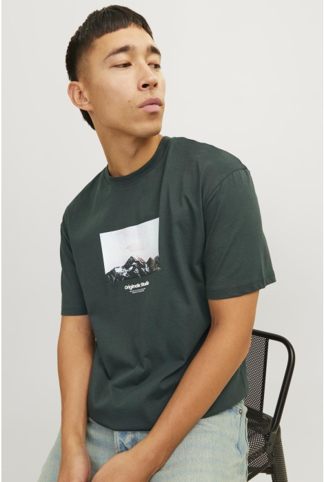 Jack & Jones jorvesterbro picture tee ss crew ne