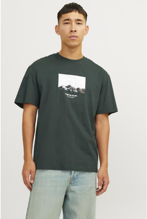 Jack & Jones jorvesterbro picture tee ss crew ne