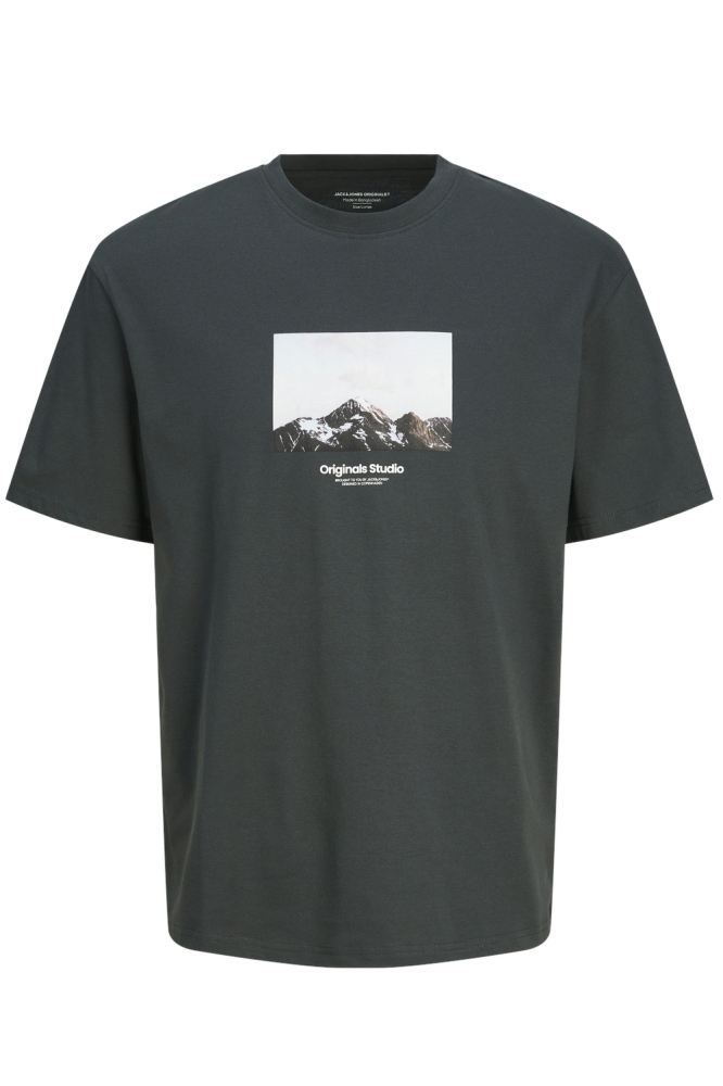 JORVESTERBRO PICTURE TEE SS CREW NE 12250421 FOREST RIVER/AW24