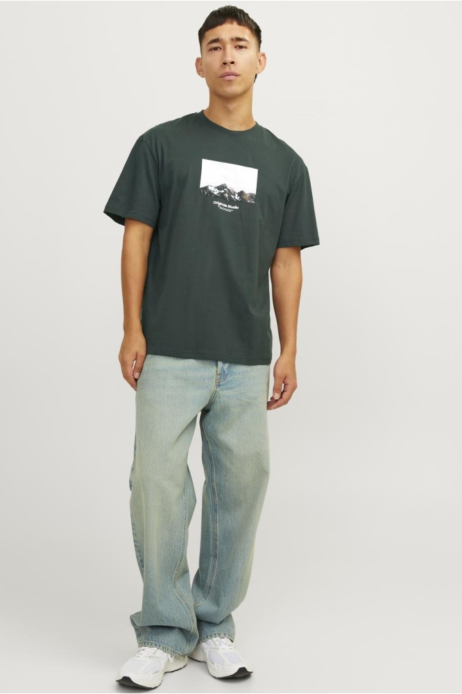 JORVESTERBRO PICTURE TEE SS CREW NE 12250421 FOREST RIVER/AW24