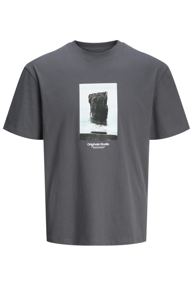 JORVESTERBRO PICTURE TEE SS CREW NE 12250421 IRON GATE/AW24