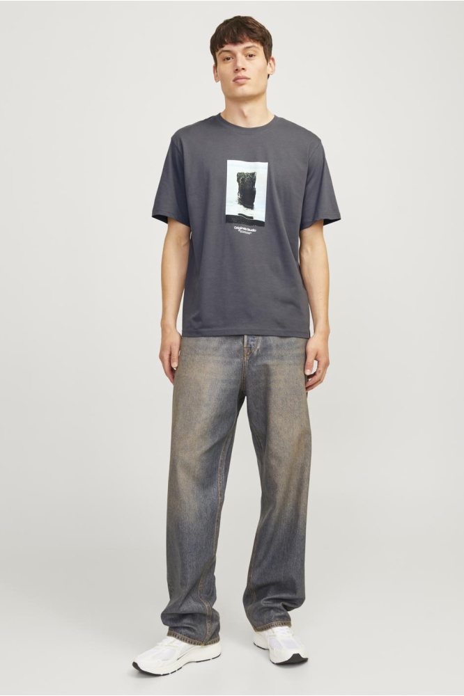 JORVESTERBRO PICTURE TEE SS CREW NE 12250421 IRON GATE/AW24