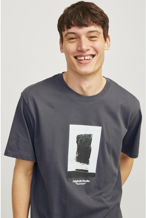 Jack & Jones jorvesterbro picture tee ss crew ne