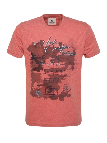 Gabbiano T-shirt T SHIRT MET PRINT 14015 701 pink