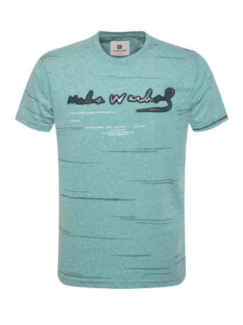Gabbiano T-shirt T SHIRT MET PRINT 14016 500 green