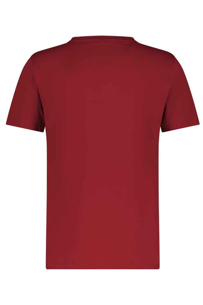 BASIC T SHIRT MET LOGOSTEEK 2473000 362