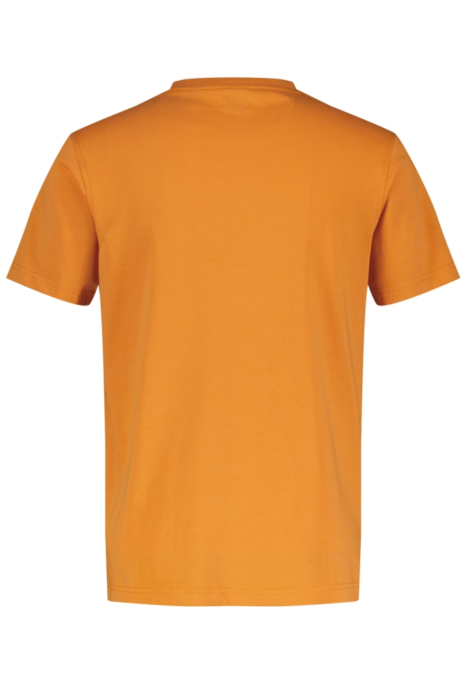 BASIC T SHIRT MET LOGOSTEEK 2473000 948