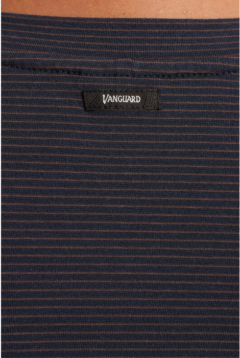 Vanguard crewneck small stripe