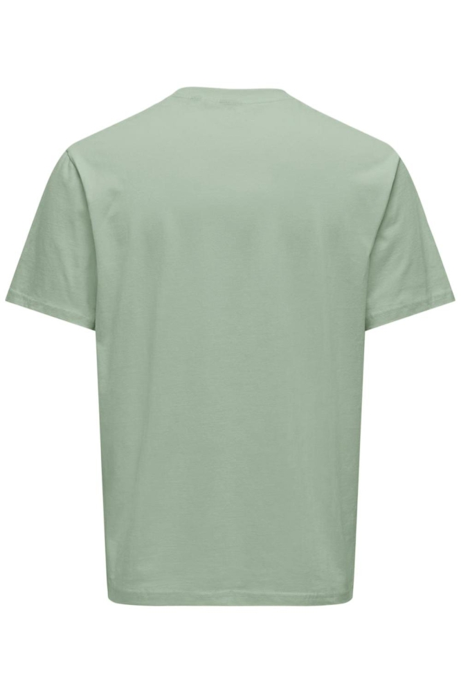 ONSLEVI LIFE REG TEXT SS TEE NOOS 22028147 ICEBERG GREEN