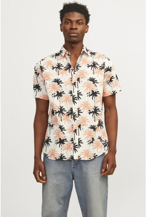 Jack & Jones jorjoshua aruba aop shirt ss