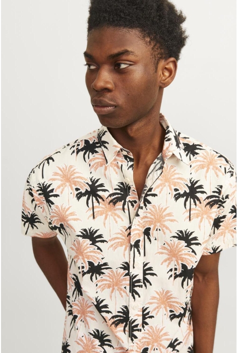 Jack & Jones jorjoshua aruba aop shirt ss