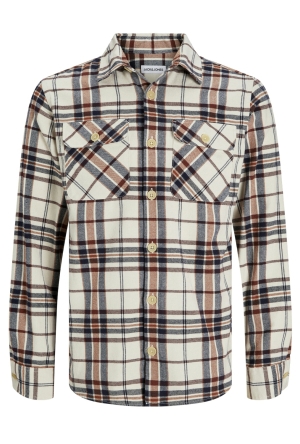 Dit is ook leuk van Jack & Jones Overhemd