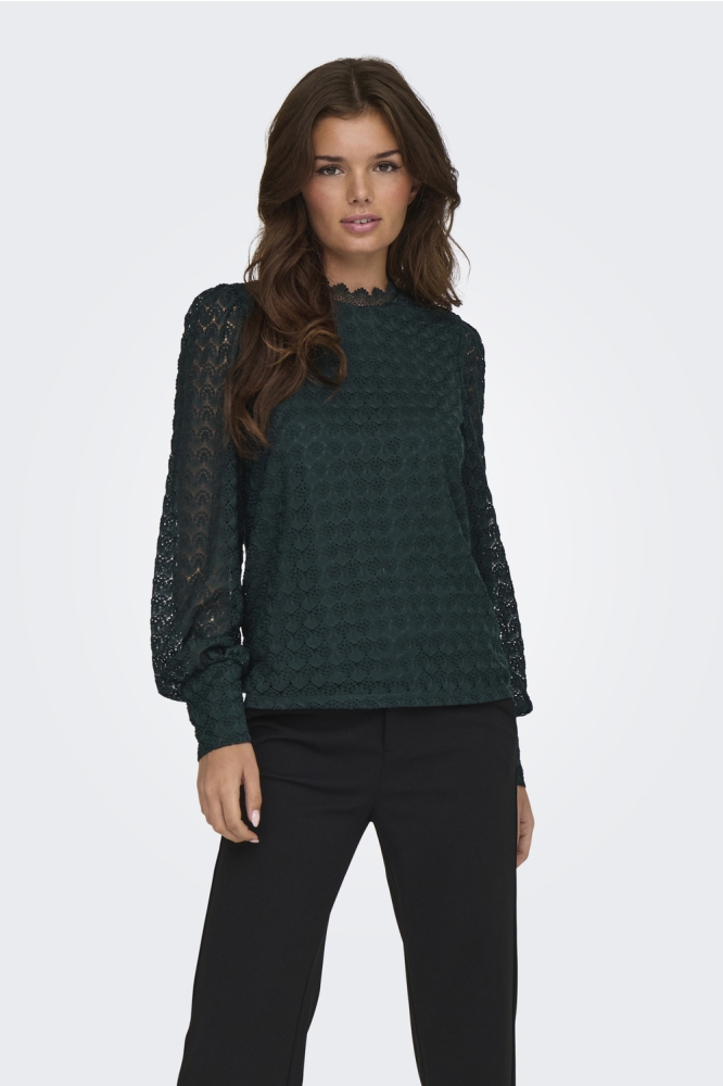 ONLNICE L/S HIGHNECK TOP JRS 15307045 SCARAB