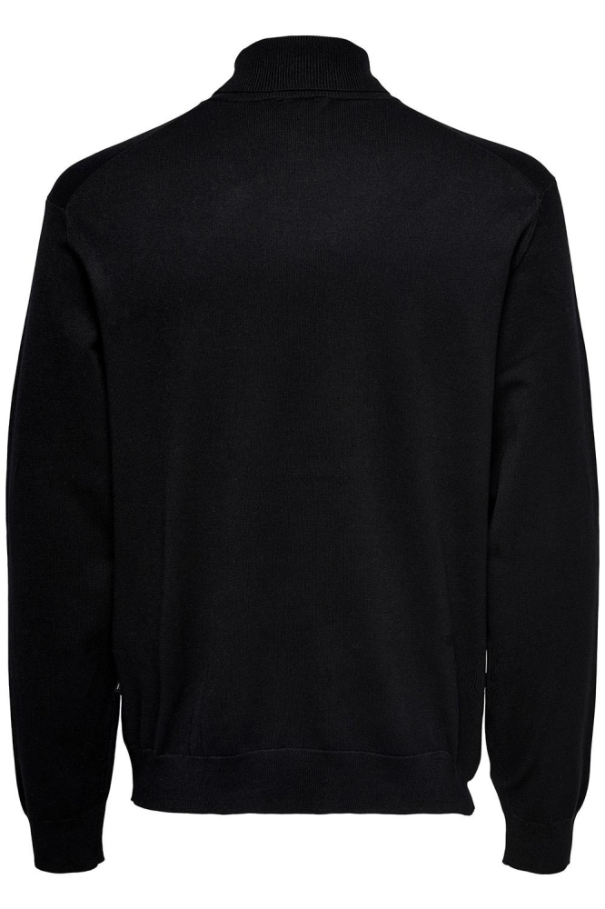 ONSWYLER LIFE ROLL NECK KNIT NOOS 22020879 Black