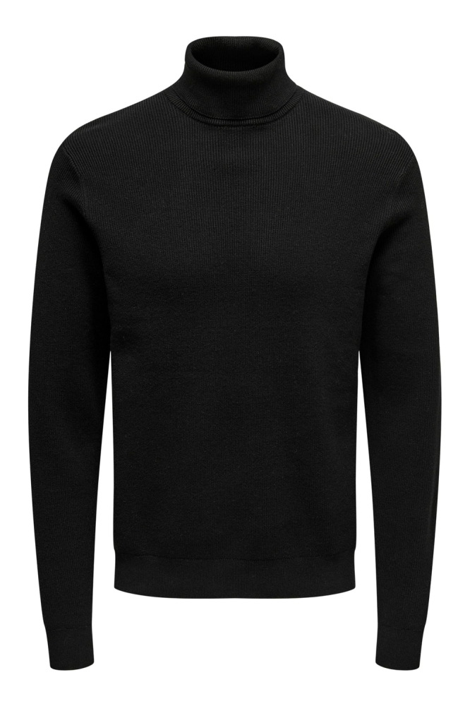 ONSPHIL REG 12 STRUC ROLL NECK KNIT 22023202 BLACK