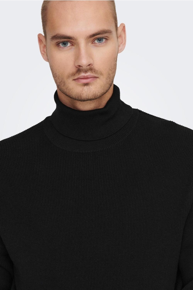 ONSPHIL REG 12 STRUC ROLL NECK KNIT 22023202 BLACK