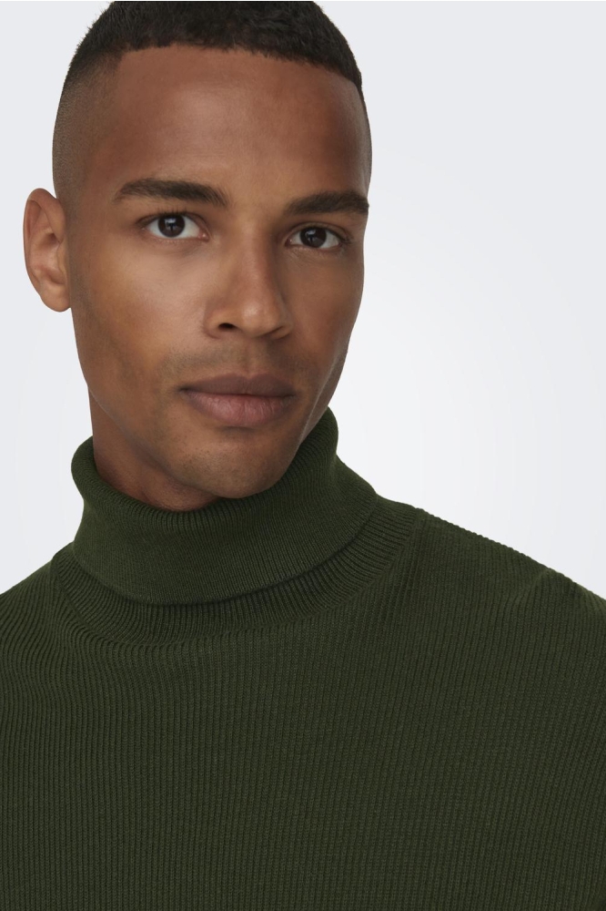 ONSPHIL REG 12 STRUC ROLL NECK KNIT 22023202 ROSIN