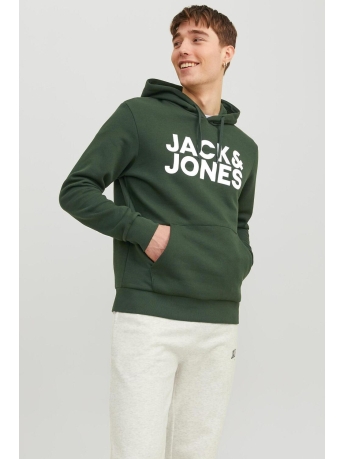 Jack Jones Truien Sans online