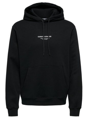 Only & Sons Trui ONSCURATED REG HOODIE SWEAT 22030921 Black