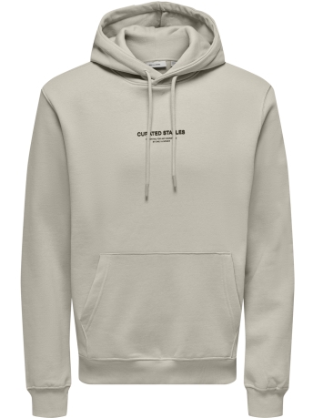 Only & Sons Trui ONSCURATED REG HOODIE SWEAT 22030921 SILVER LINNING