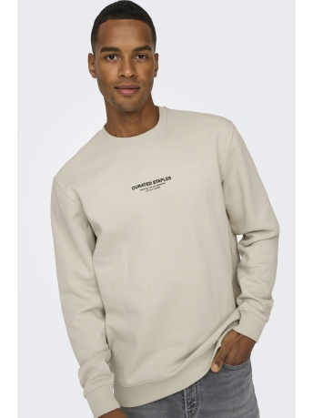 Only & Sons Trui ONSCURATED REG CREW NECK SWEAT 22030923 Silver Lining