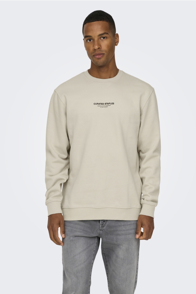 ONSCURATED REG CREW NECK SWEAT 22030923 Silver Lining