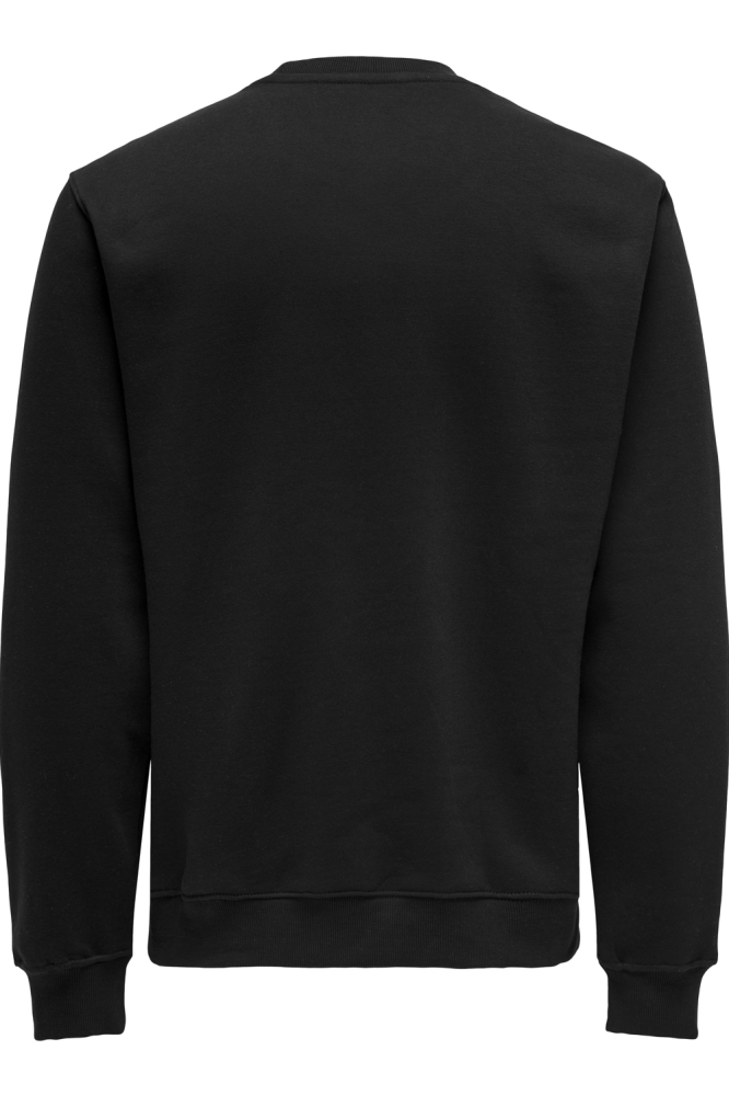 ONSCURATED REG CREW NECK SWEAT 22030923 Black