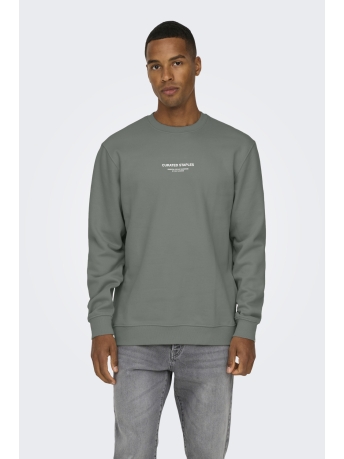 Only & Sons Trui ONSCURATED REG CREW NECK SWEAT 22030923 Castor Gray