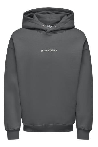 Only & Sons Trui ONSLES CLASSIQUES RLX HOODIE SWEAT 22030644 MAGNET