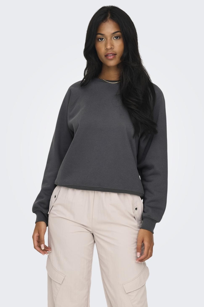 ONLDAZE L/S O-NECK CC SWT NOOS 15325979 MAGNET