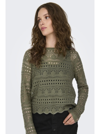 Jacqueline de Yong Trui JDYSUN LAY L/S BOATNECK PULLOV. KNT 15287384 IVY GREEN