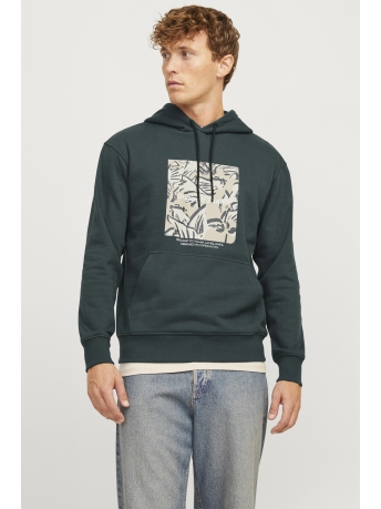 Jack & Jones Trui JORVESTERBRO NEWTON BOXFRONT SWEAT 12266801 Forest River