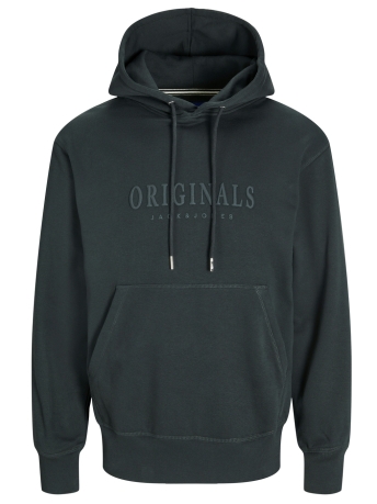 Jack & Jones Trui JORFREDERIKSBERG SWEAT HOOD SN 12262811 Forest River