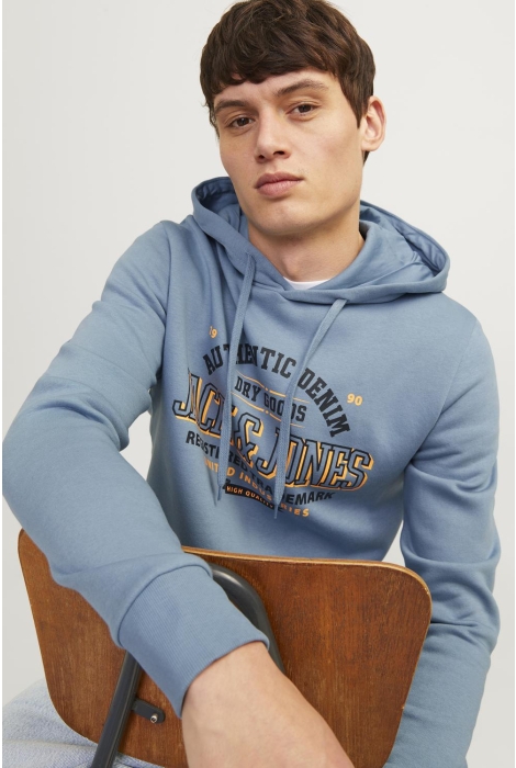 Jack & Jones jjelogo sweat hood 2 col 24/25 noos