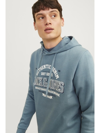 Jack & Jones Trui JJELOGO SWEAT HOOD 2 COL 24/25 NOOS 12255617 GOBLIN BLUE