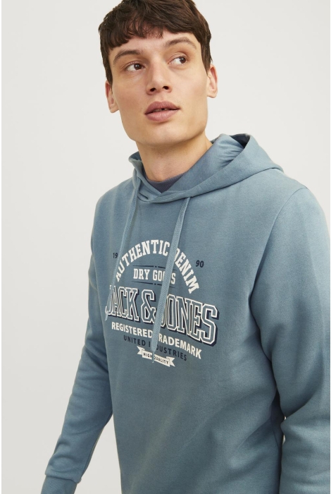 Jack & Jones jjelogo sweat hood 2 col 24/25 noos