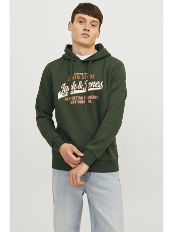 Jack & Jones Trui JJELOGO SWEAT HOOD 2 COL 24/25 NOOS 12255617 KOMBU GREEN