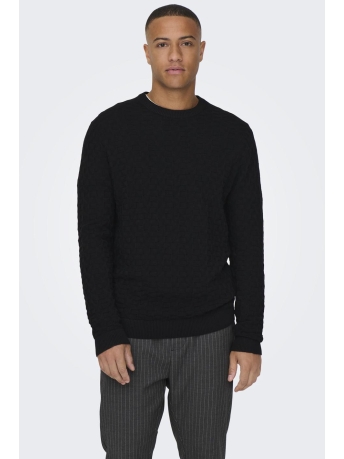 Only & Sons Trui ONSKALLE REG 12 STRUC CREW KNIT NOO 22026559 Black