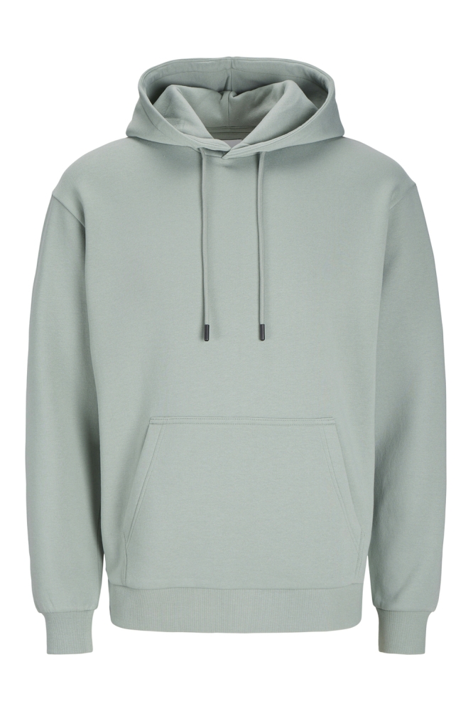 JJEBRADLEY SWEAT HOOD NOOS 12249340 Iceberg Green