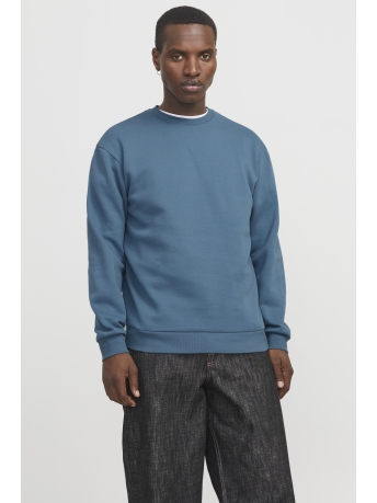 Jack & Jones Trui JJEBRADLEY SWEAT CREW NOOS 12249341 Oceanview