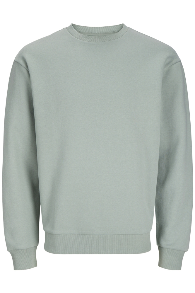 JJEBRADLEY SWEAT CREW NOOS 12249341 Iceberg Green