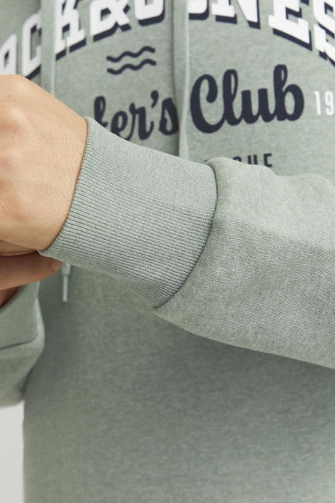 Jack & Jones jjelogo sweat hood 2 col 24/25 noos