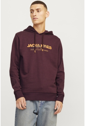 Dit is ook leuk van Jack & Jones Trui